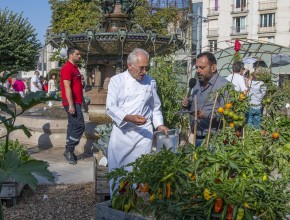 Agrandir l’image